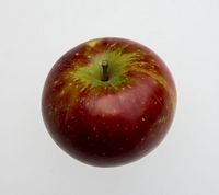 Nisaba æble